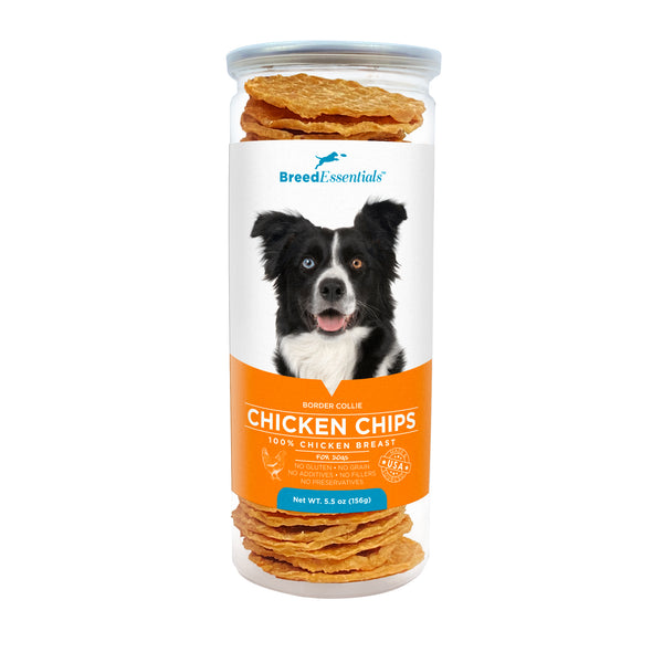 Chicken Chips - Border Collie