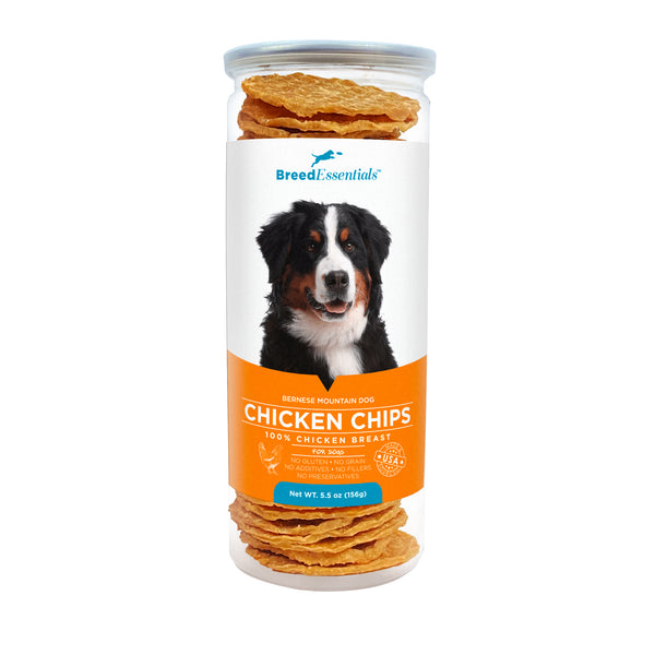 Chicken Chips 5.5 oz - Bernese Mountain Dog